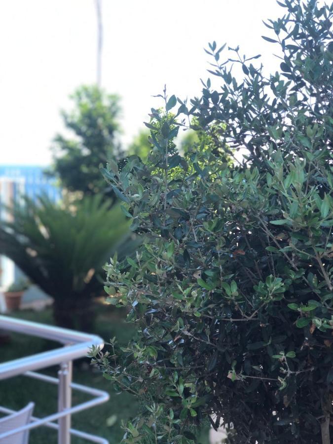Sunset Apartments Berdenesh ساراندا المظهر الخارجي الصورة